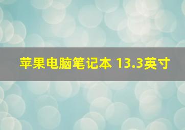 苹果电脑笔记本 13.3英寸